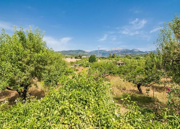 Ideal Property Mallorca - Can Reure