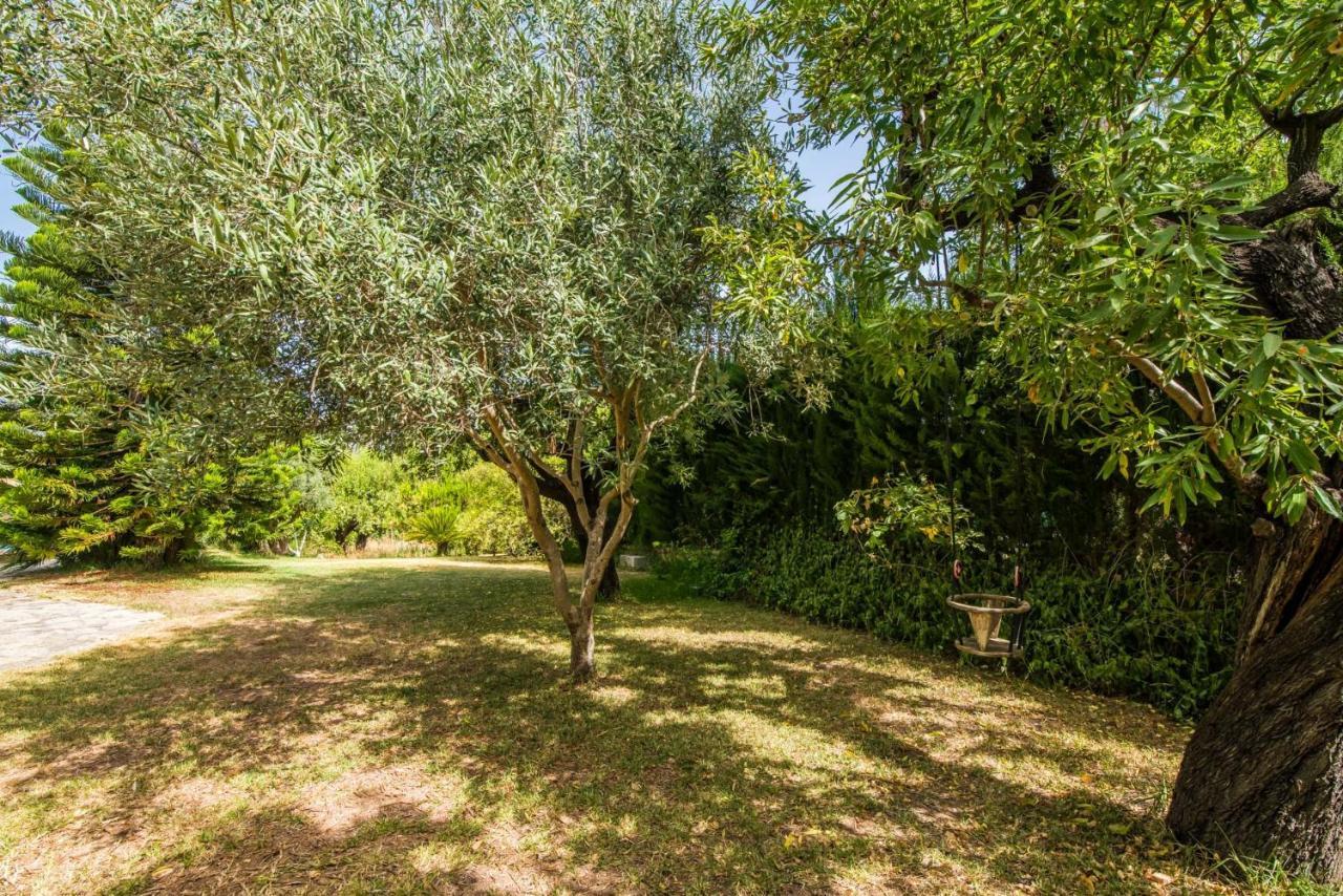 Ideal Mallorca - Reure