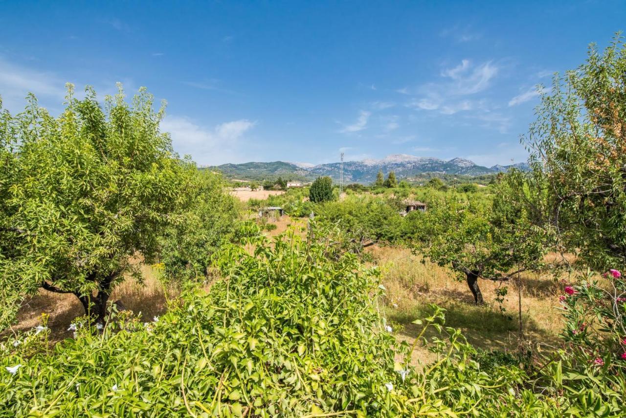 Landhaus Ideal Mallorca - Reure Inca (Mallorca)