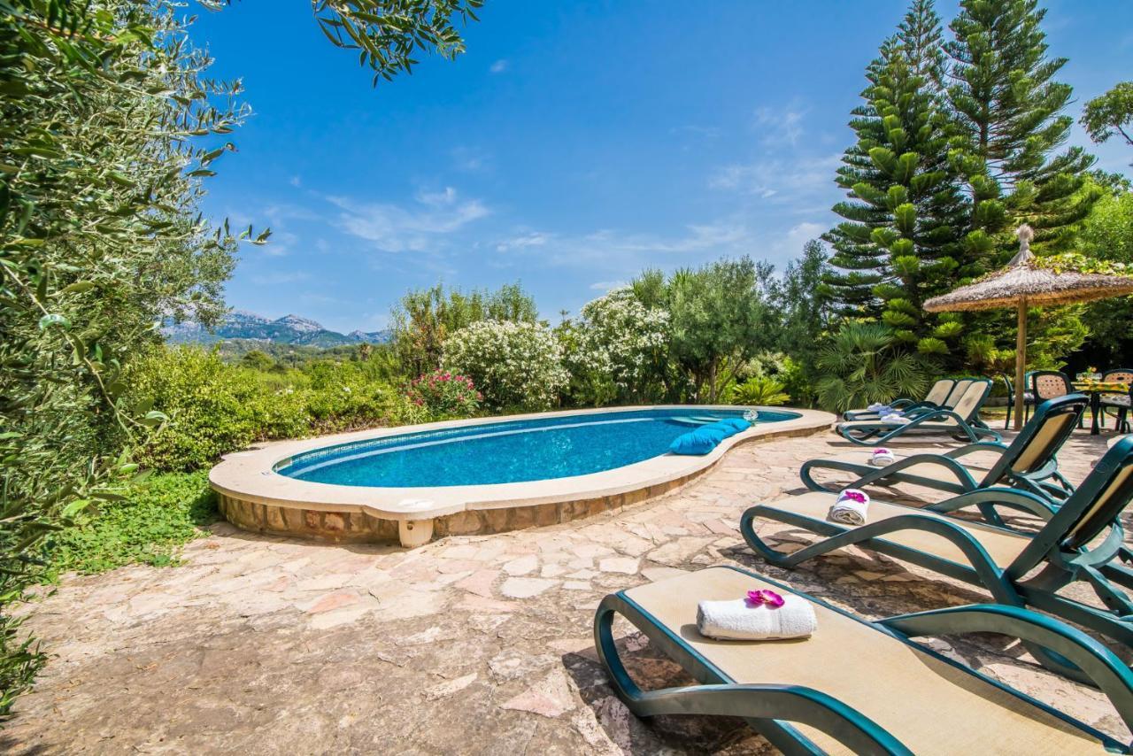 Ideal Mallorca - Reure *